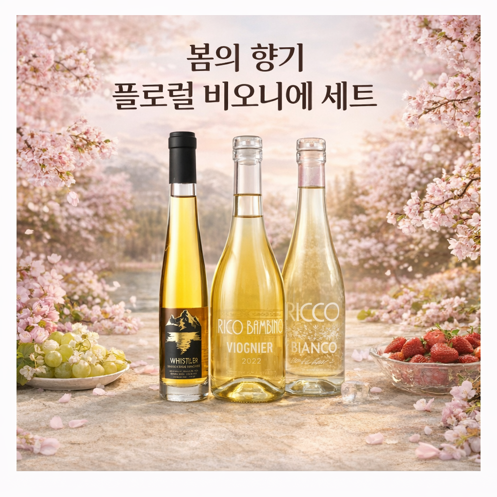 봄의 향기 플로럴 비오니에 와인 세트 3병 체리블라썸 배경 캐나다 화이트 와인 구성 이미지