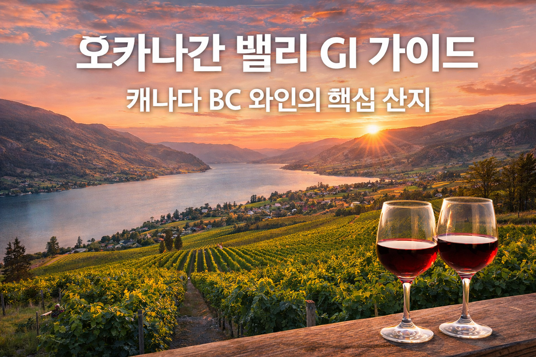 캐나다 오카나간 밸리 와인 산지 풍경과 포도밭, BC 와인 지역 대표 이미지