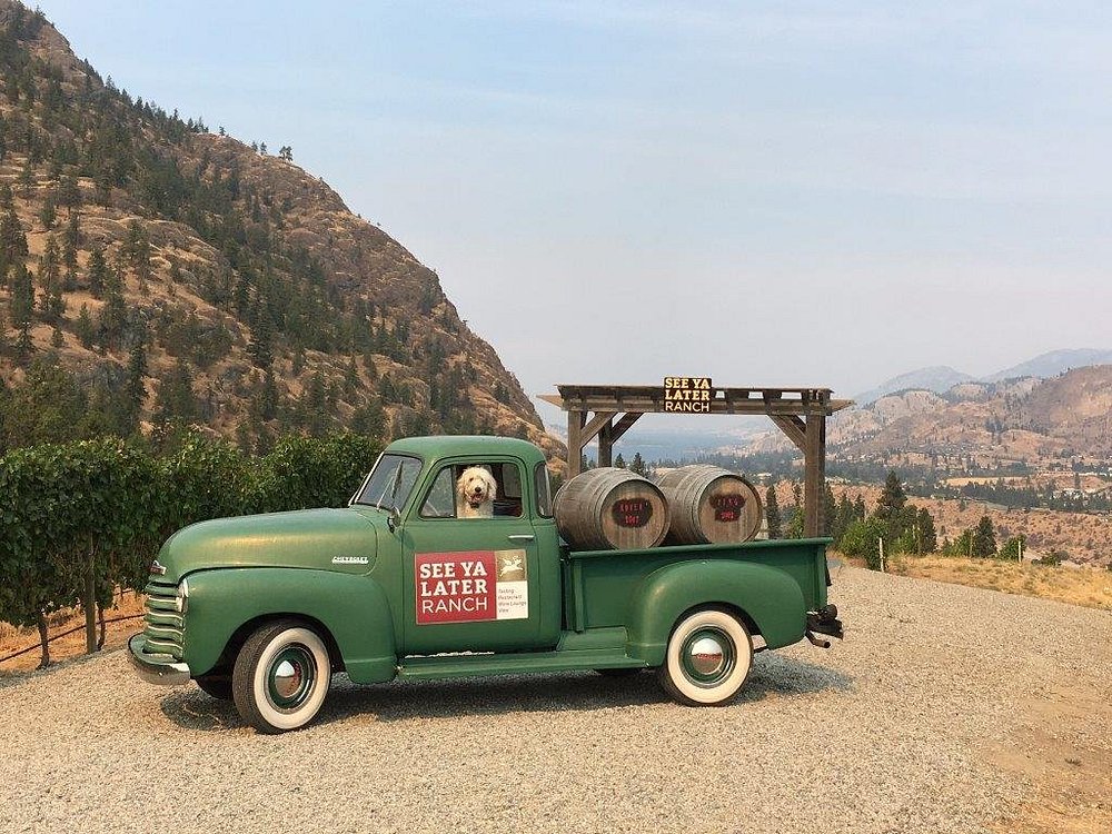 씨 야 레이터 랜치 - 비달 아이스와인 2018 (375ml)