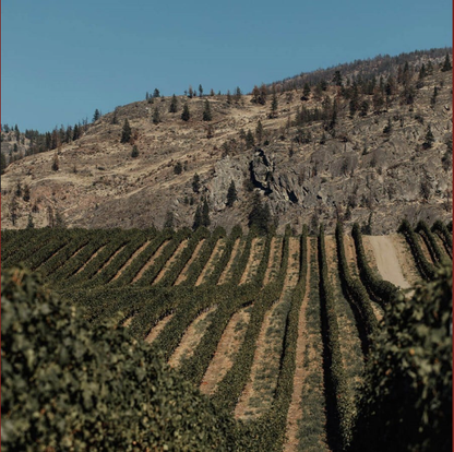 블랙세이지 와이너리 떼루아