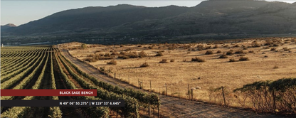 블랙세이지 와이너리 벤치