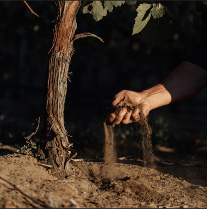블랙세이지 와이너리 흙