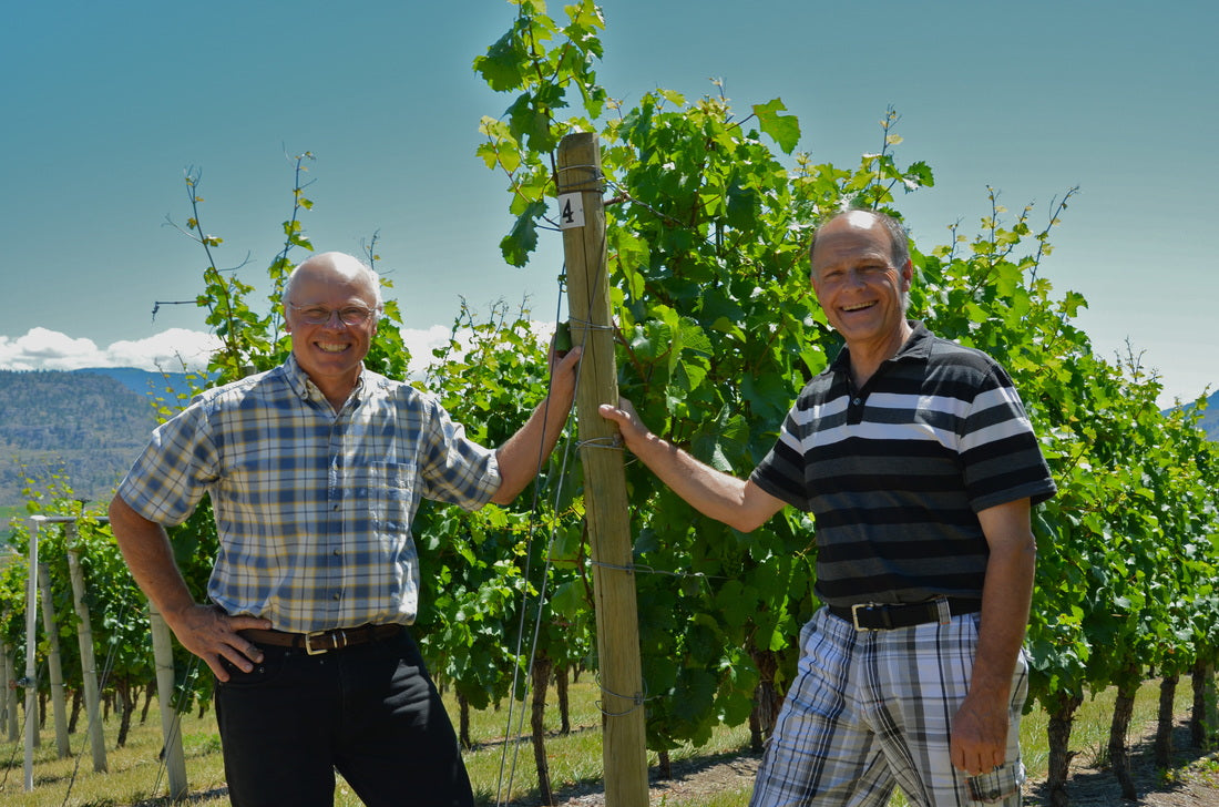 게링거 와이너리 주인 CEO