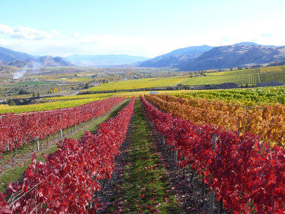 게링거 와이너리 가을 풍경