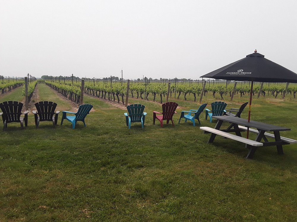 잭슨 트릭스 오카나간 와이너리 포도밭