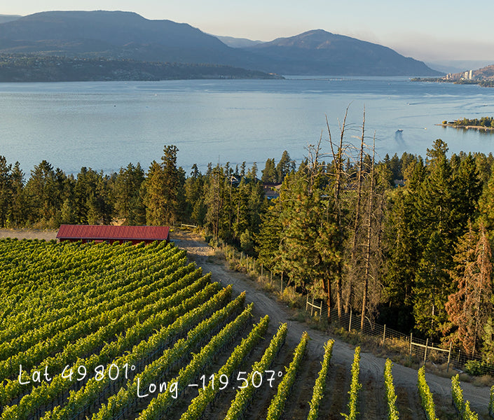 Martin's Lane Simes Vineyard Pinot Noir 2018 | 750ml