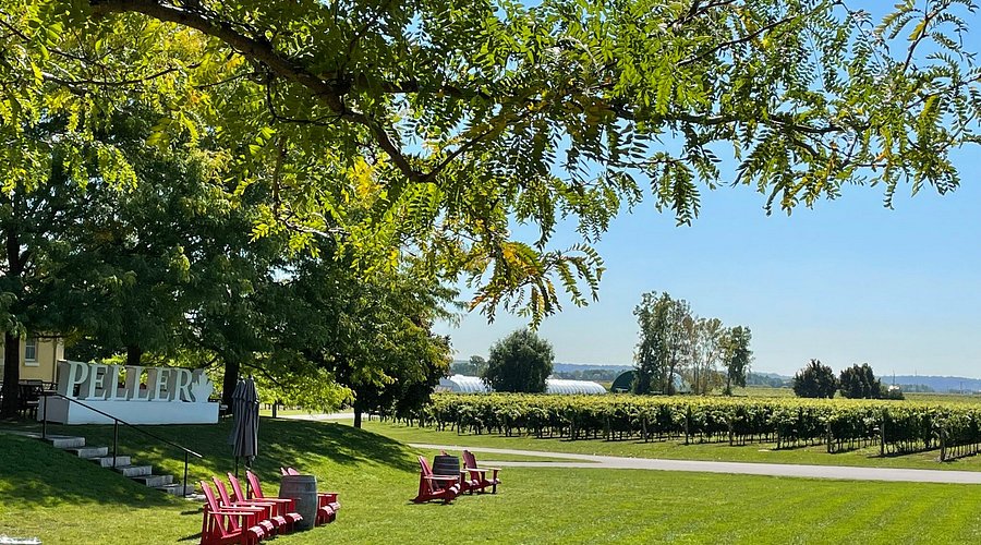 펠러 에스테이트 와이너리 여름 풍경
