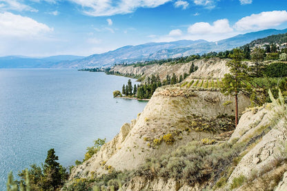 휘슬러 비달 VQA 아이스와인 2019 (200 ml)