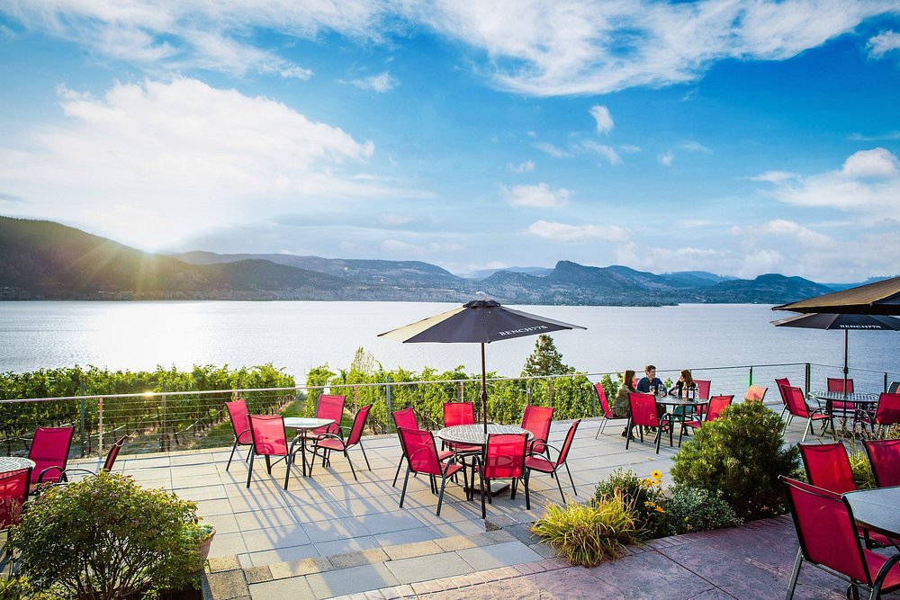 휘슬러 비달 VQA 아이스와인 2019 (200 ml)