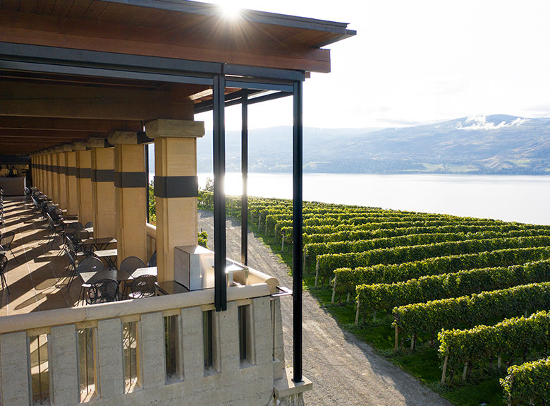 오카나간 밸리 포도밭과 미션힐 와이너리 테라스 전경 (Okanagan Vineyard)