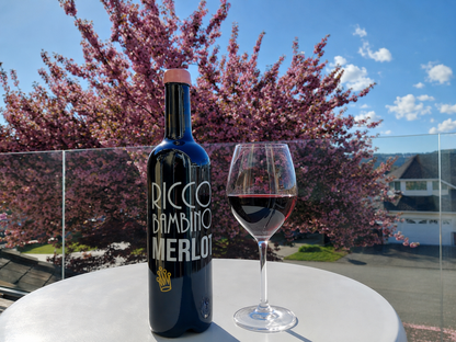 벚꽃이 만개한 봄 풍경 속 테라스에서 즐기는 Ricco Bambino Merlot 캐나다 레드 와인
